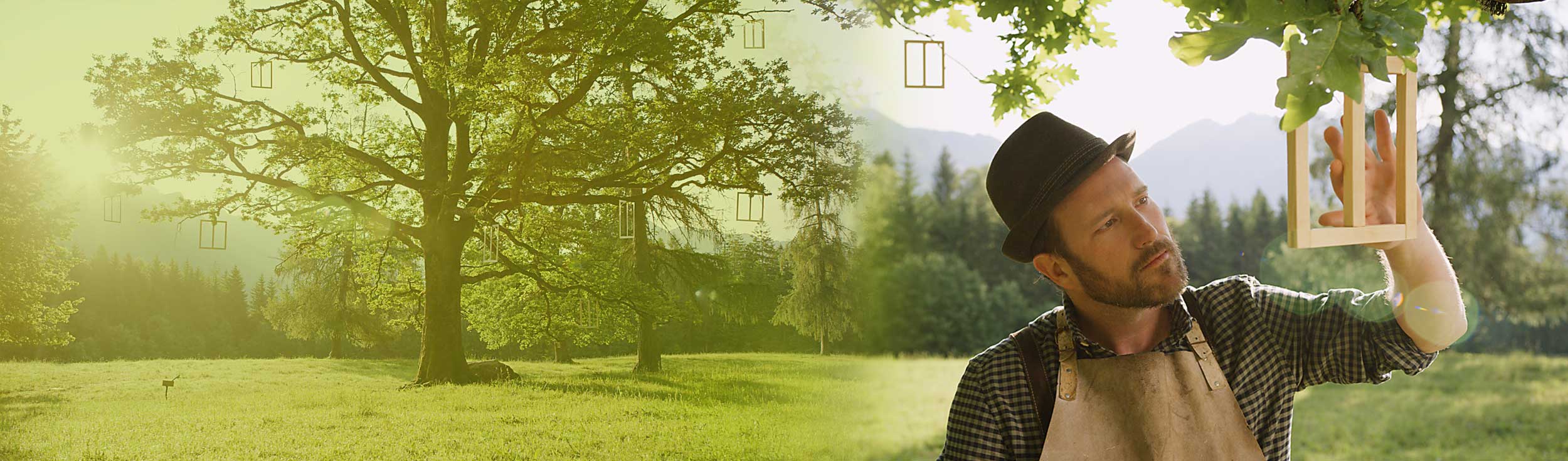 natuerlich_anders_fensterbaum_panorama_3